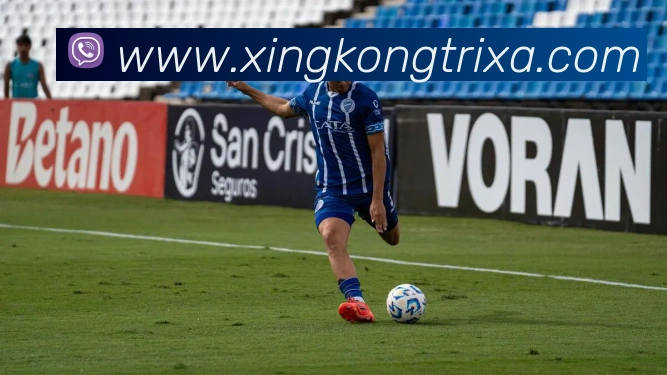 星空体育平台生态图